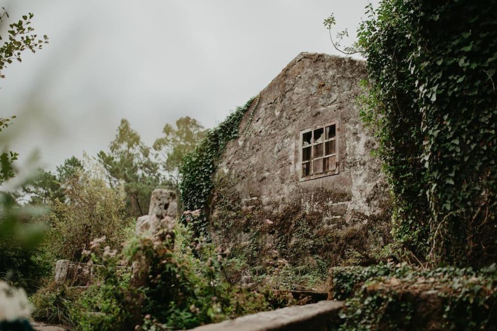 Antas Villa Family Esposende Dış mekan fotoğraf